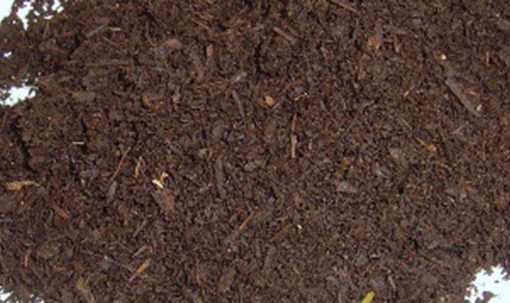 名城大学との共同研究