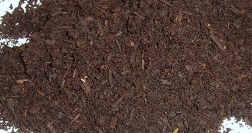 名城大学との共同研究